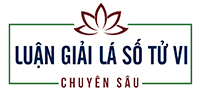 Lá Số Tử Vi