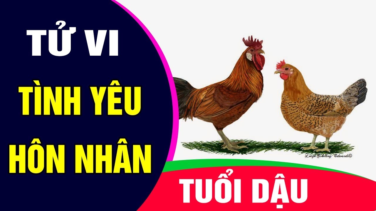 tình yêu tuổi dậu