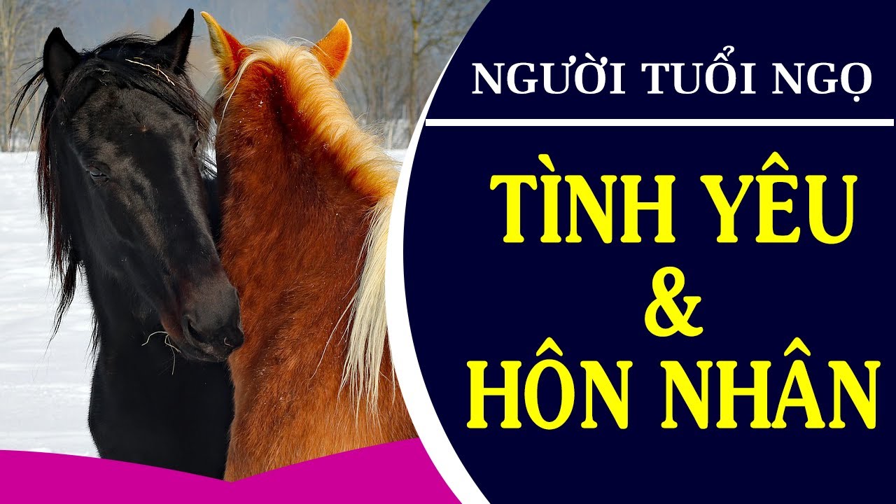 Tình yêu của người tuổi Ngọ